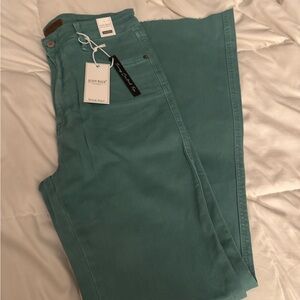 Judy Blue Mint/Sea foam Green Denim